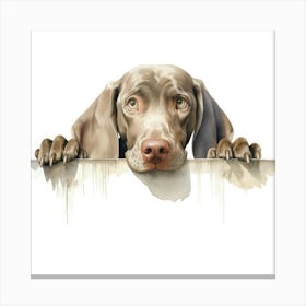 Weimaraner Dog 2 Canvas Print