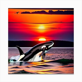 Orca Whale At Sunset Canvas Print