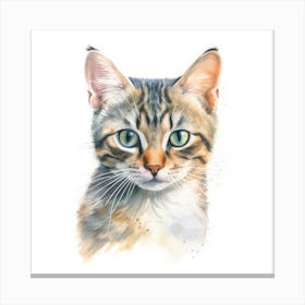 Pixie Bob Cat Portrait 1 Canvas Print