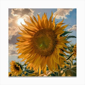 Sunflowers Canvas Print