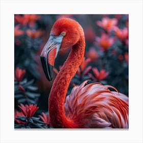 Flamingo 12 Canvas Print