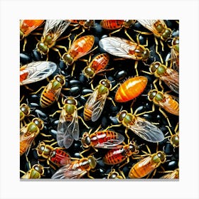 Bees On Black Beans 1 Canvas Print