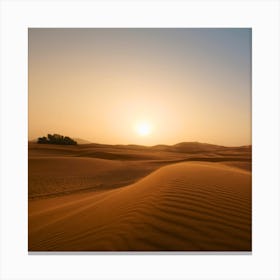 Sunset In The Desert Canvas Print