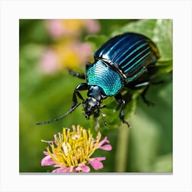 Beetle On Flower Canvas Print