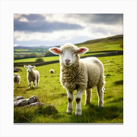 Nature Wool Farm Animal Herd Countryside Grass Sheep Mammal Green Landscape Farming Meado (6) Canvas Print