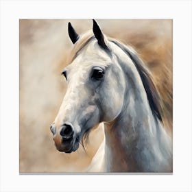 Portrait Of A Horse Canvas Print