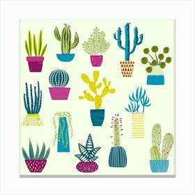 Cactus Succulent Cacti House Plants Canvas Print