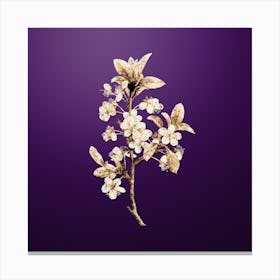Gold Botanical White Plum Flower on Royal Purple n.3436 Canvas Print