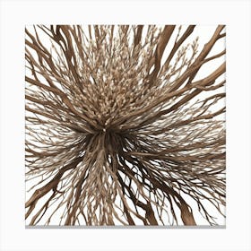 Twigs Canvas Print