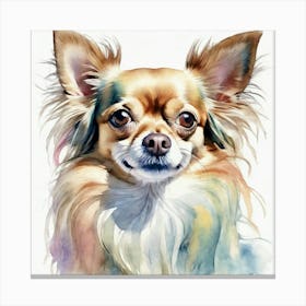 Chihuahua Canvas Print