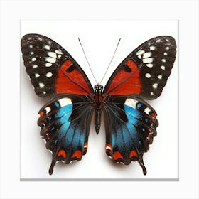 A Vibrant Over Saturated Butterfly On A White Background That Doesn T Crop Off Canvas Print