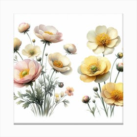 Flowers of buttercup 3 Canvas Print