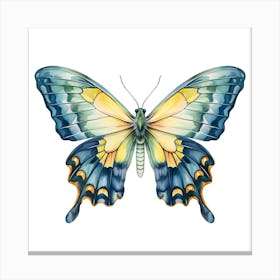 Butterfly Canvas Print