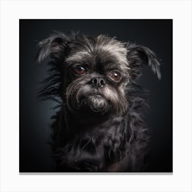 Portrait Of A Dog 20 Canvas Print