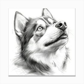 Siberian Husky 2 Canvas Print