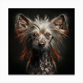 Chinese Crested Dog Portrait Canvas Print