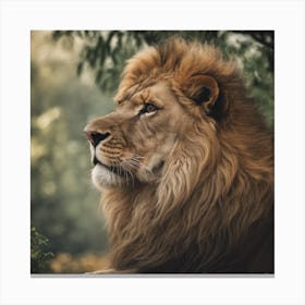 Lion Portrait Canvas Print