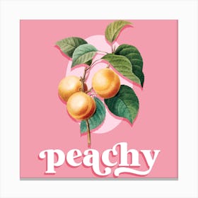 Peachy 1 Canvas Print