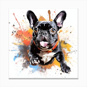 Frenchie Cute Art By Csaba Fikker 025 Canvas Print