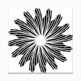 Black And White Flower 10 Canvas Print