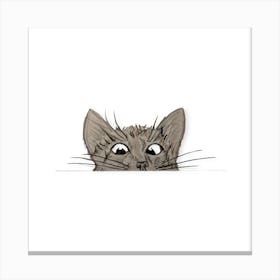 Crazy Cat Eyes Canvas Print