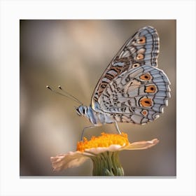 Butterfly Art Print Depicting 2 Canvas Print