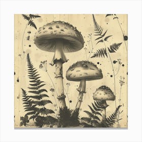 Ferns And Mushrooms Canvas Print