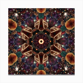 Mandala 88 Canvas Print