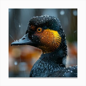 Duck In The Rain 1 Canvas Print