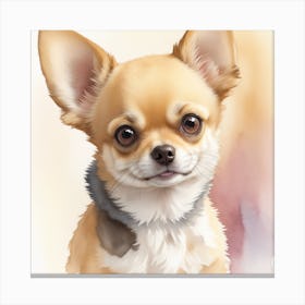 Chihuahua Canvas Print