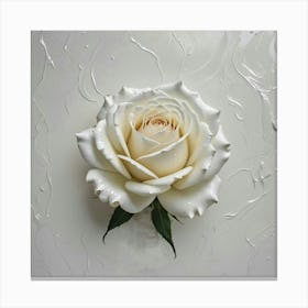 white rose Canvas Print