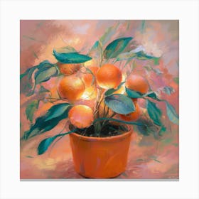 Oranges In A Pot 9 Canvas Print