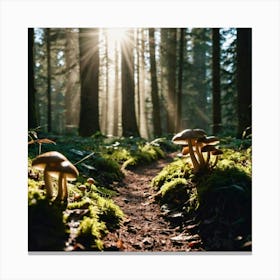 Mushroom Forest Canvas Print