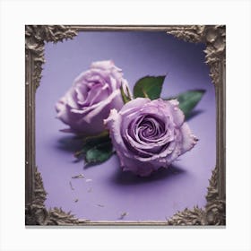 Purple Roses 36 Canvas Print