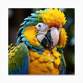 Portrait of a colorful macaw parrot in close up. 1 Canvas Print