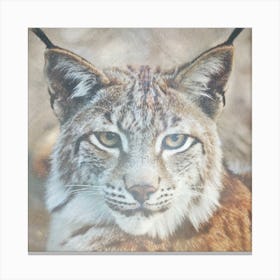 Lynx Whisperer Canvas Print