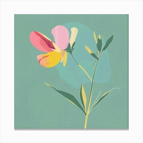 Sweet Pea 3 Square Flower Illustration Canvas Print