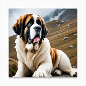 St Bernard Dog 37 Canvas Print