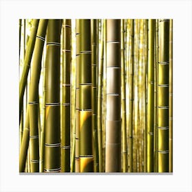 Bamboo Forest 1 Canvas Print