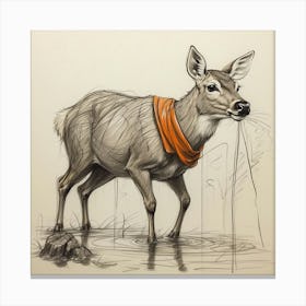 Deer! 63 Canvas Print