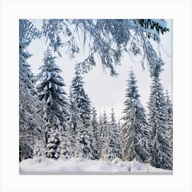 Snowy Forest In Winter Canvas Print