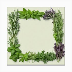 Frame Of Herbs 3 Canvas Print