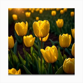 Yellow Tulips At Sunset Canvas Print