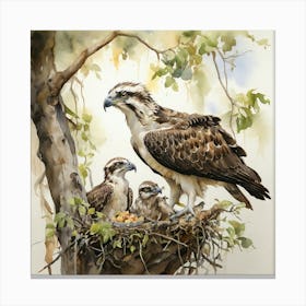 Osprey Nest 2 Canvas Print