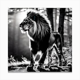 Lion In The Forest 11 Canvas Print