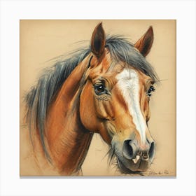 Horse Portrait 6 Canvas Print