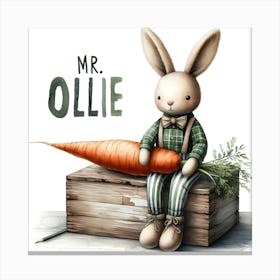 Mr Ollie Canvas Print