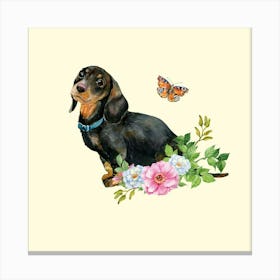 Dachshund Stampe su tela