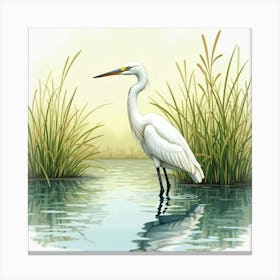 Great Egret Canvas Print