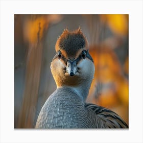 Portrait Of A Duck Canvas Print